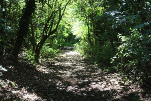 Footpath Bell Butts lane to Hurst Lane Auckley