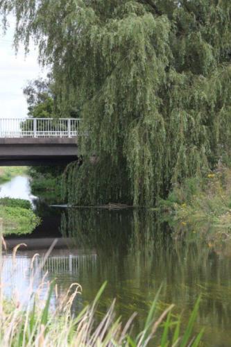 River Torne Bridge Auckley